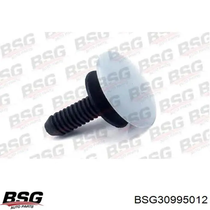  BSG30995012 BSG