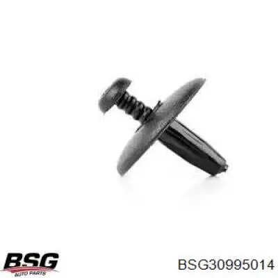  BSG30995014 BSG