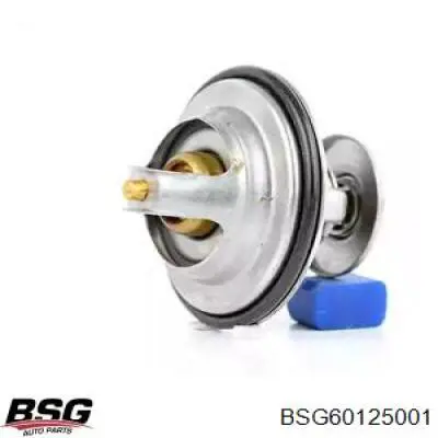 Термостат BSG BSG60125001