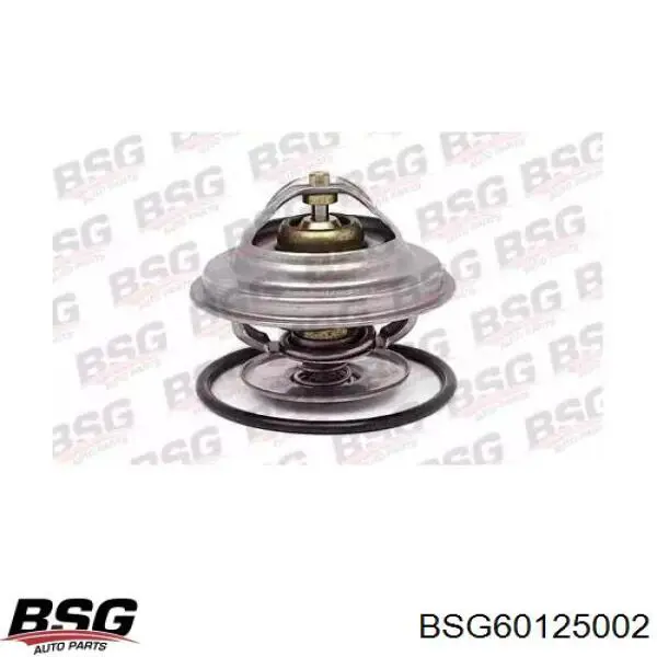 Термостат BSG BSG60125002