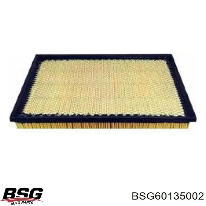 Купить BSG60135002 BSG Автомобильный фильтр воздуха
