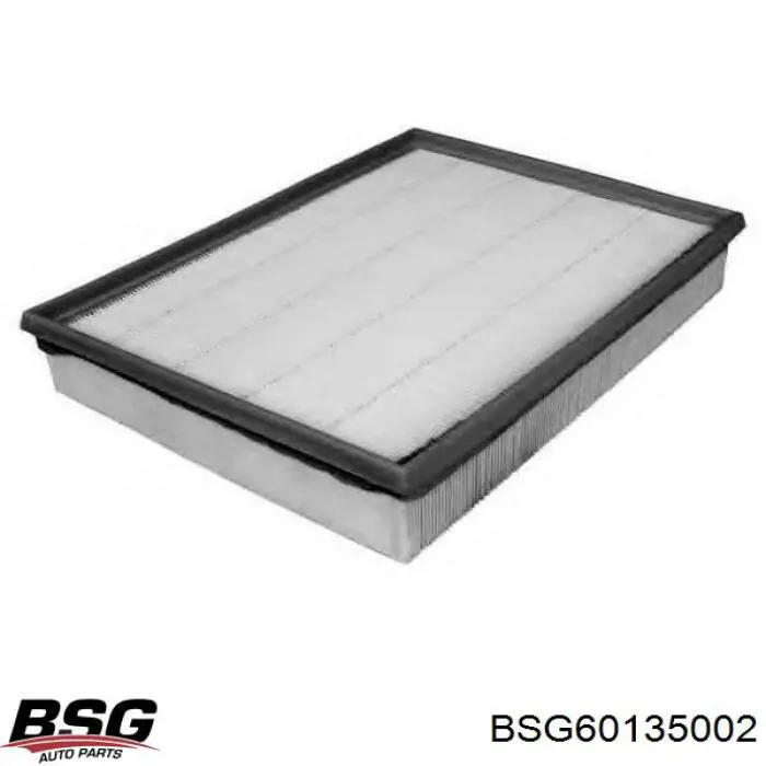 Фильтр воздушный BSG BSG60135002
