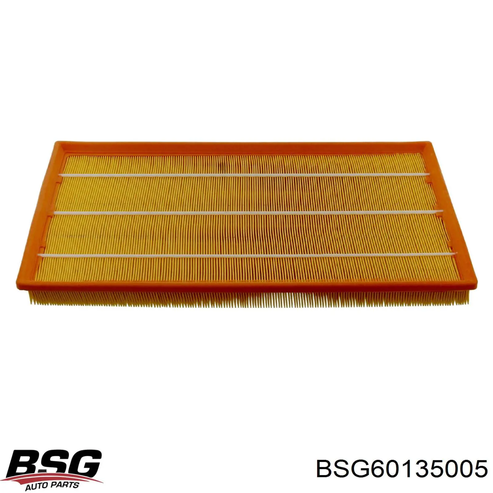 BSG 60-135-005 BSG воздушный фильтр