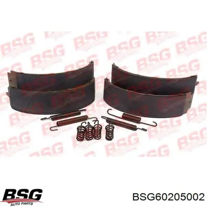Колодки ручника (стояночного тормоза) BSG BSG60205002