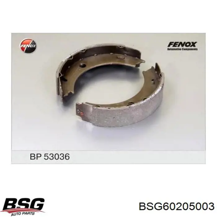 Колодки ручника (стояночного тормоза) BSG BSG60205003