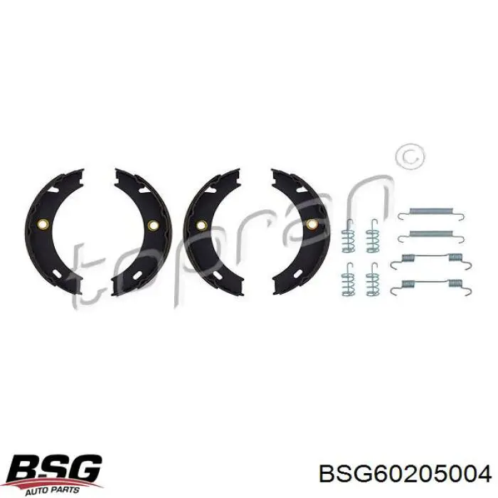 BSG60205004 BSG