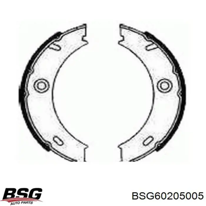 Колодки ручника (стояночного тормоза) BSG BSG60205005