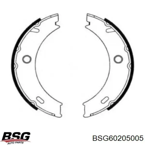 Купить BSG60205005 BSG Колодки ручника/стояночного тормоза