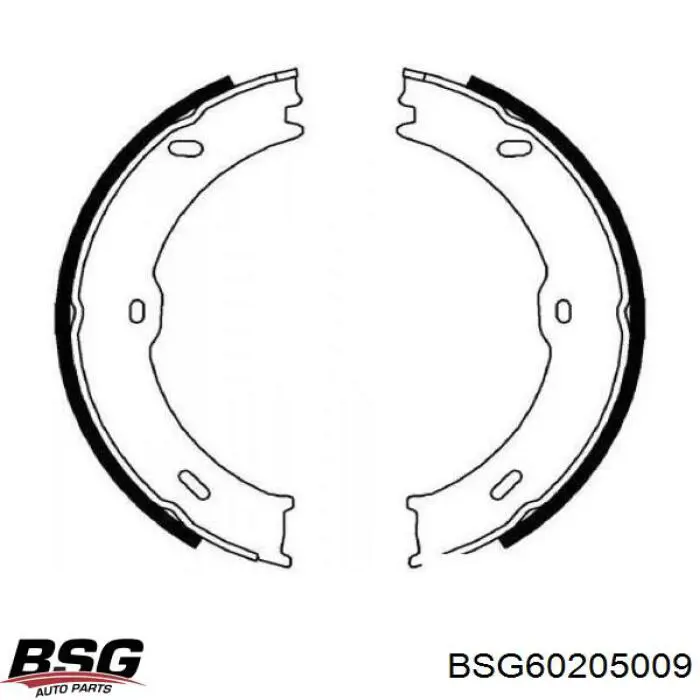 Juego de zapatas de frenos, freno de estacionamiento BSG60205009 BSG