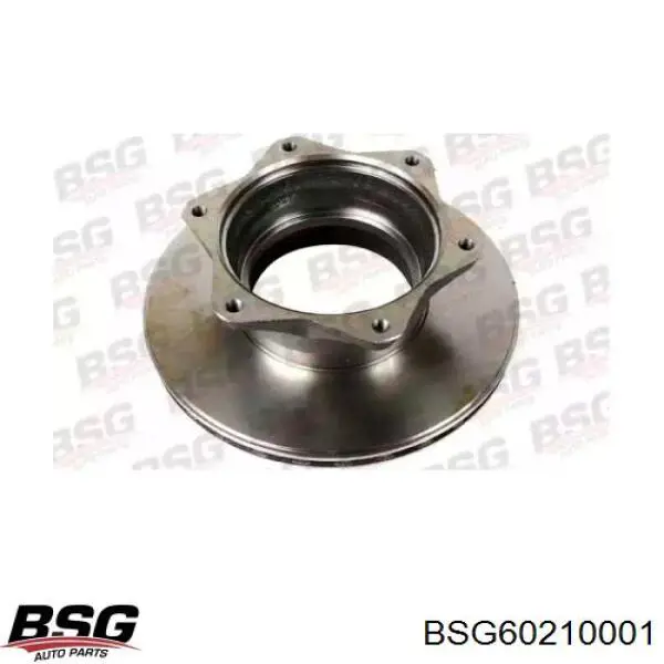 BSG60210001 BSG диск тормозной задний