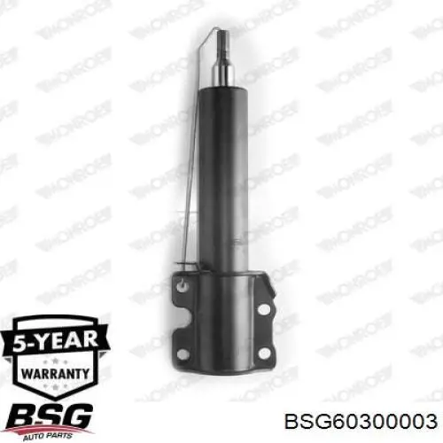 BSG 60-300-003 BSG амортизатор передний