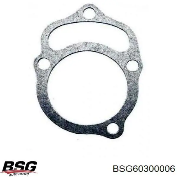 BSG 60-300-006 BSG амортизатор передний