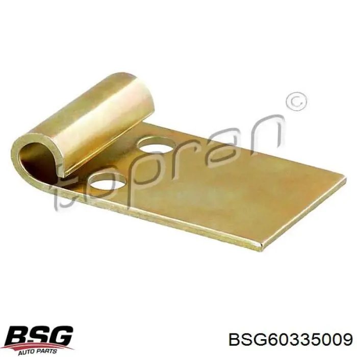 BSG60335009 BSG кронштейн верхнего крепления стойки заднего стабилизатора