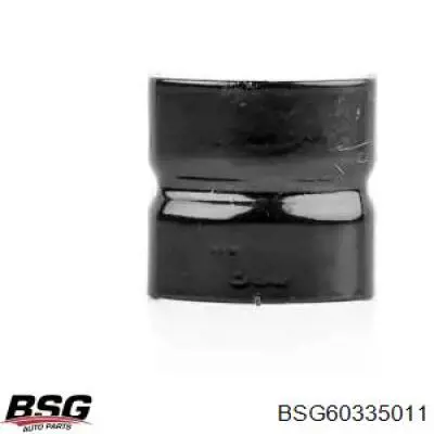 BSG 60-335-011 BSG хомут крепления втулки стабилизатора переднего