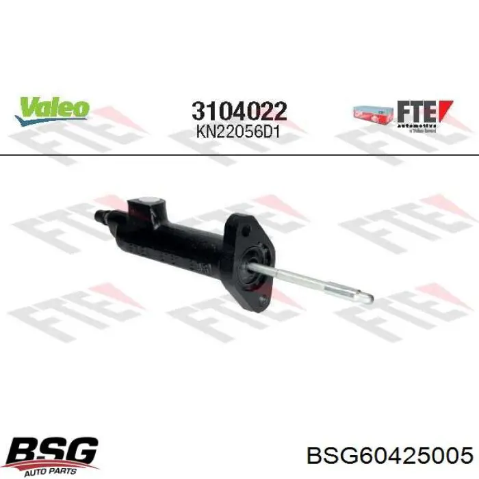 BSG60425005 BSG