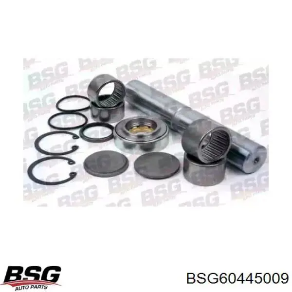 BSG60-445-009 BSG ремкомплект шкворня поворотного кулака