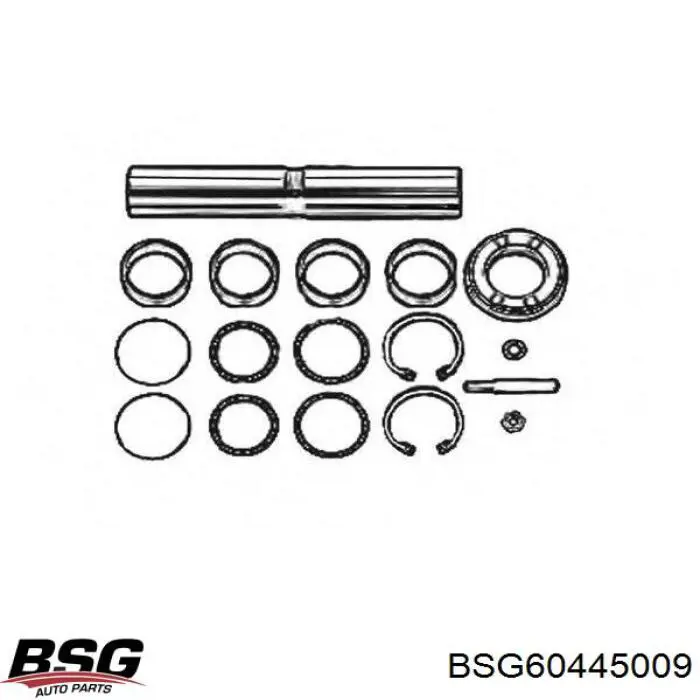Ремкомплект шкворня поворотного кулака BSG BSG60445009 цена, от 57.70 USD