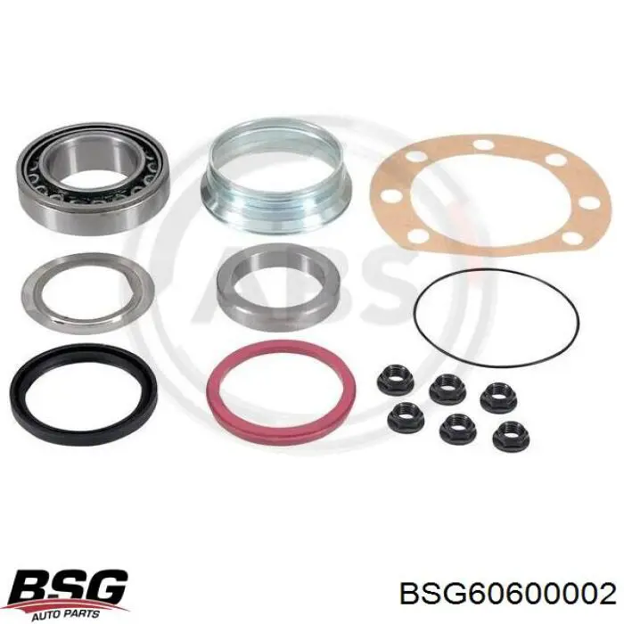 Cojinete de rueda trasero BSG60600002 BSG