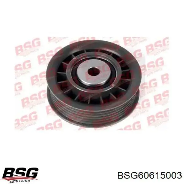 Паразитный ролик BSG60615003 BSG