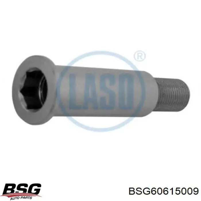 BSG 60-615-009 BSG consola de reguladora de tensão da correia de transmissão