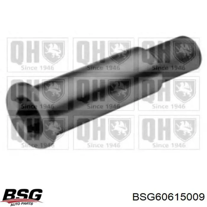 Soporte, brazo tensor, correa poli V BSG60615009 BSG