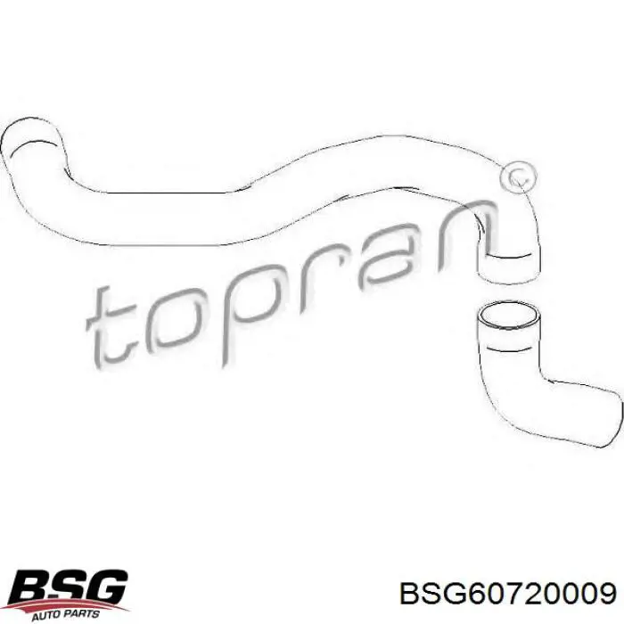 Шланг/патрубок интеркуллера BSG BSG60720009 цена, от 24.33 USD