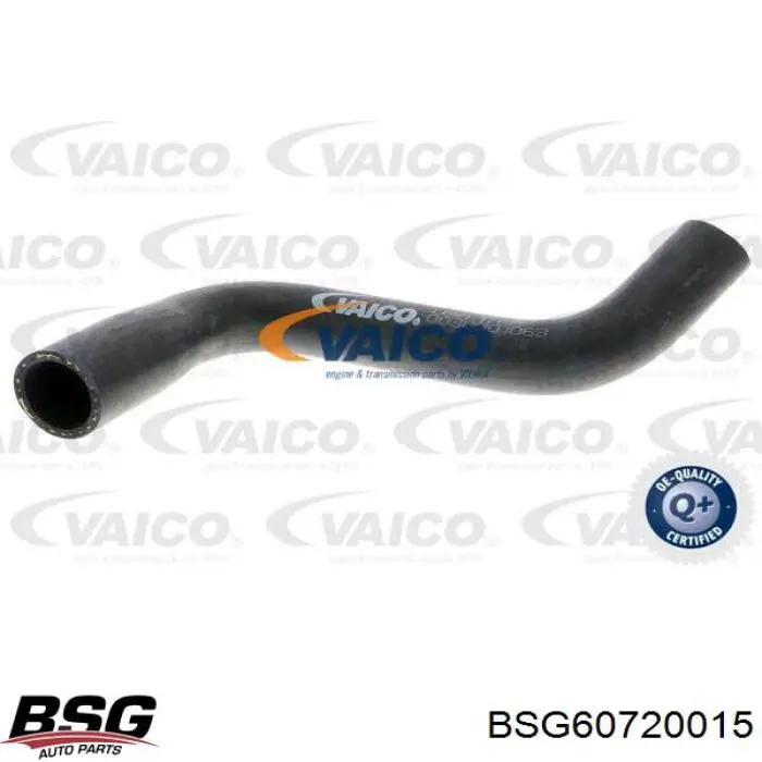 BSG 60-720-015 BSG mangueira (cano derivado do radiador de esfriamento superior)