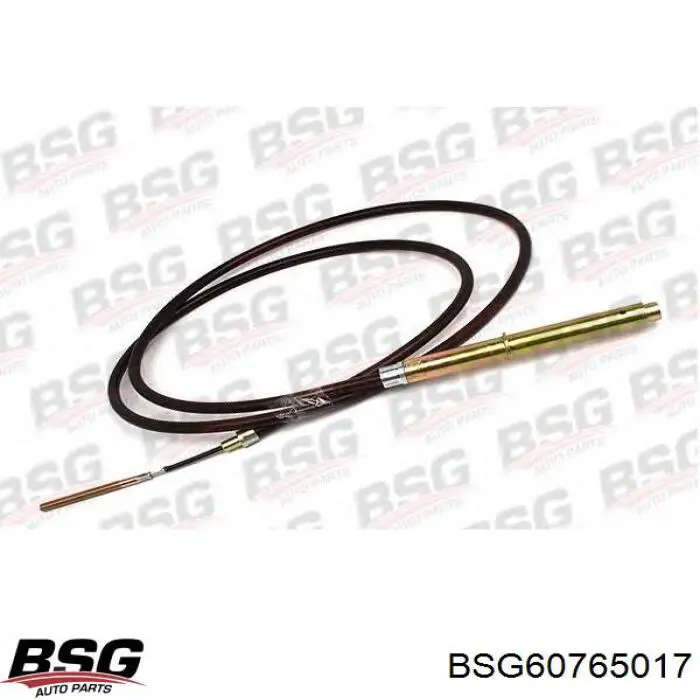  BSG60765017 BSG