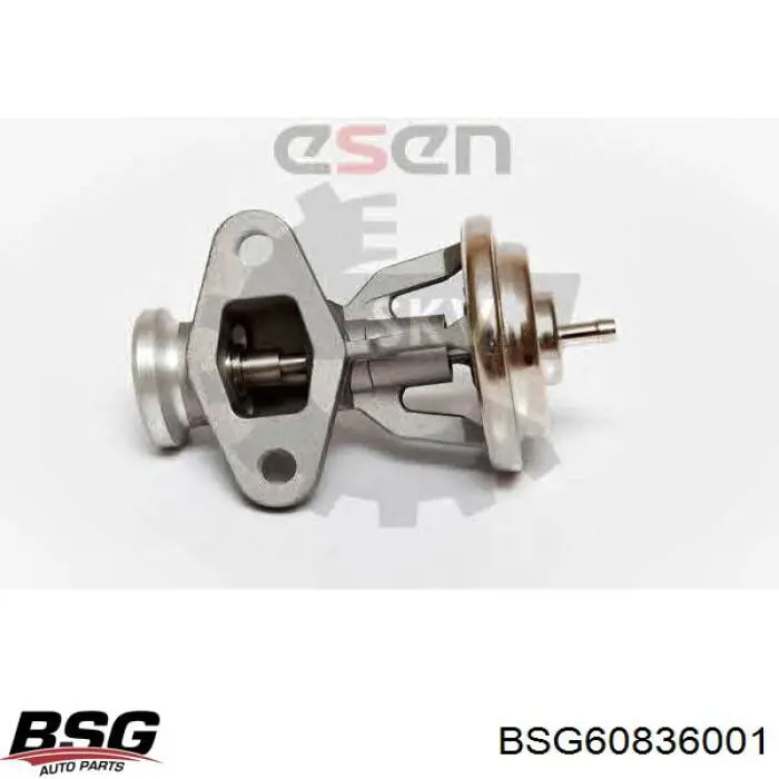 BSG60836001 BSG клапан егр