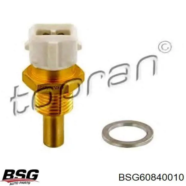 BSG 60-840-010 BSG датчик температуры охлаждающей жидкости, на приборе