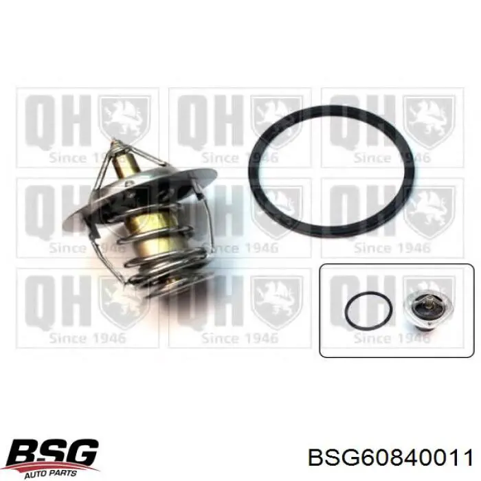 Датчик указателя температуры охлаждающей жидкости BSG BSG60840011 цена, от 225 UAH
