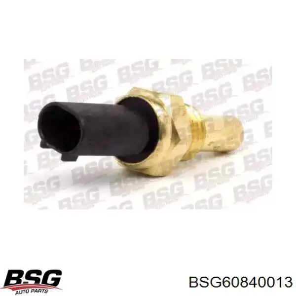 BSG60840013 BSG датчик температуры топлива