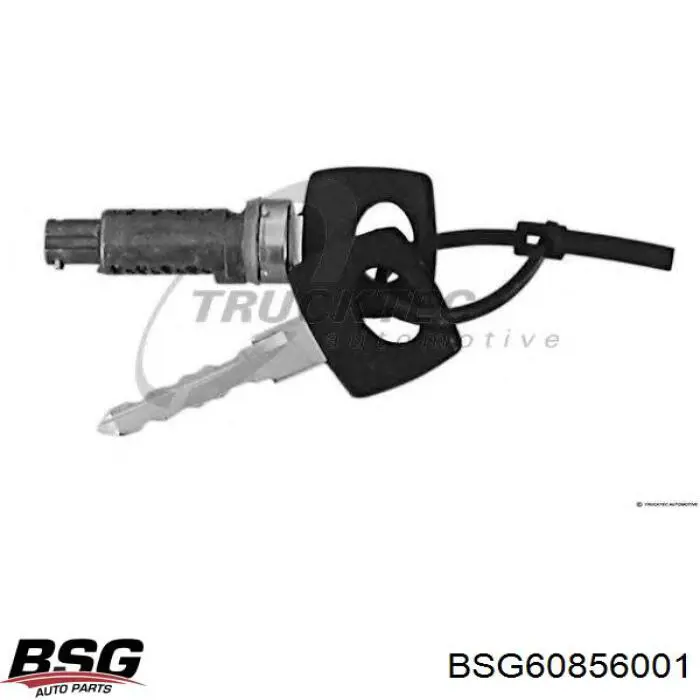 Cilindro de cerradura de puerta delantera BSG60856001 BSG