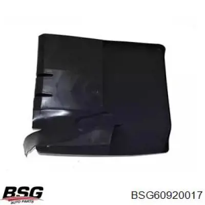 BSG 60-920-017 BSG брызговик задний правый
