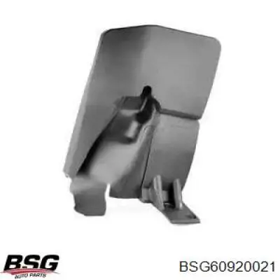 BSG 60-920-021 BSG брызговик задний правый