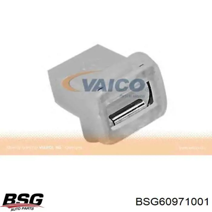 BSG60971001 BSG крышка (пробка бензобака)