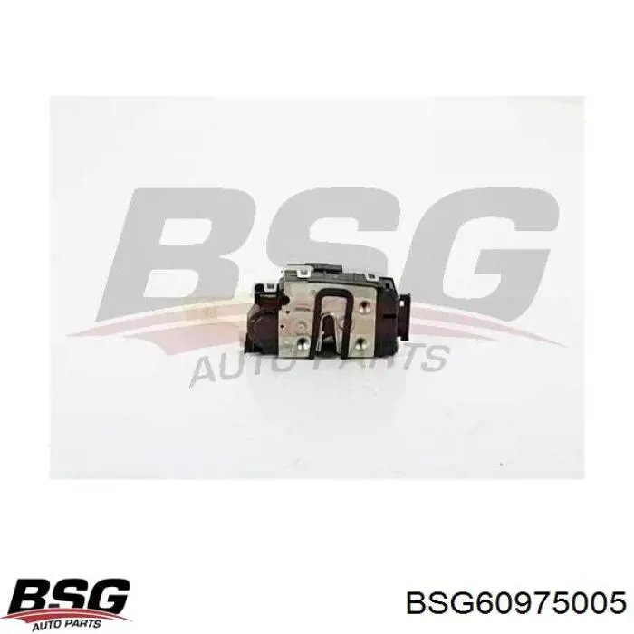 BSG60975005 BSG