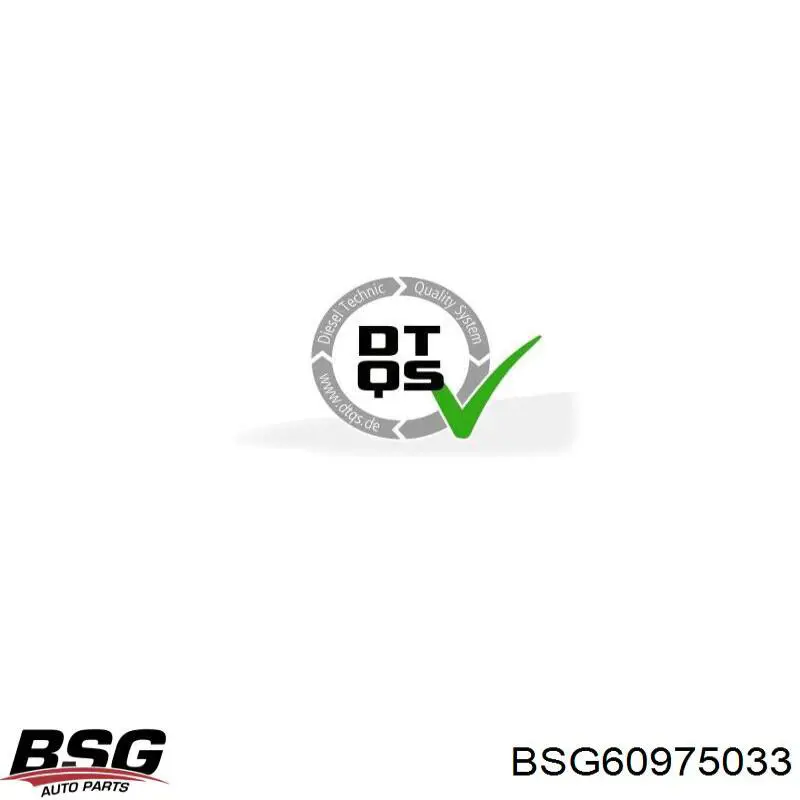 Замок передней левой двери BSG BSG60975033