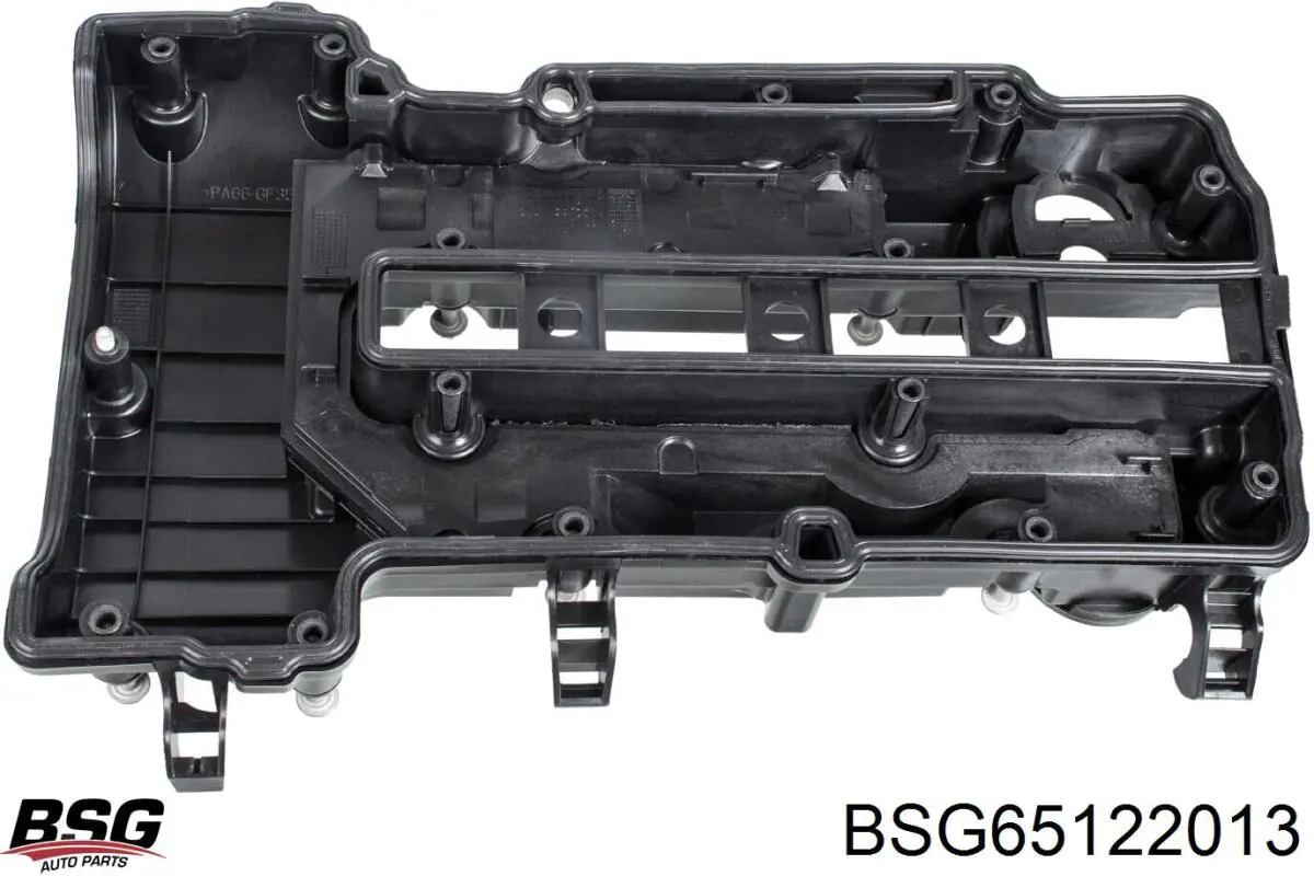 BSG65122013 BSG