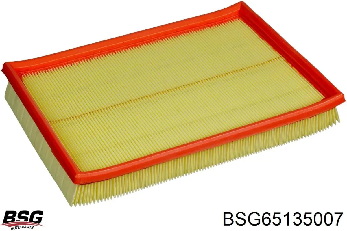 BSG 65-135-007 BSG filtro de ar