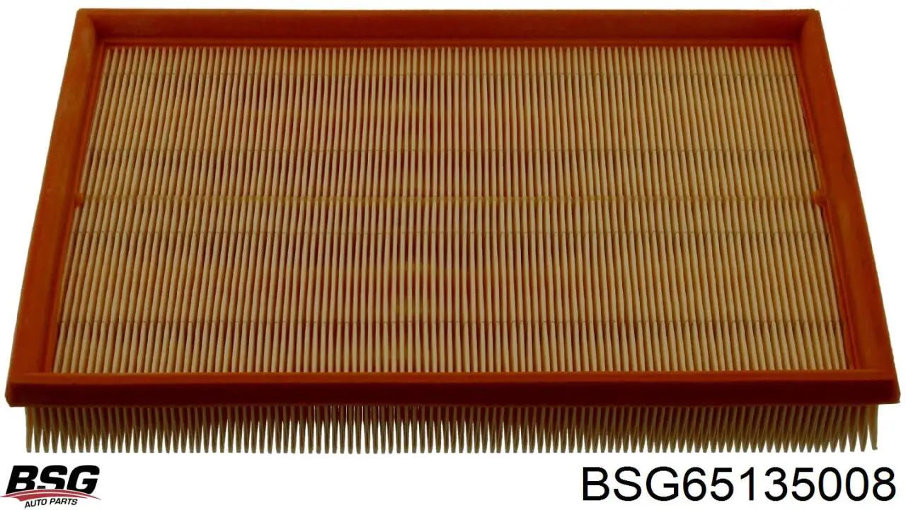 Купить BSG65135008 BSG Автомобильный фильтр воздуха