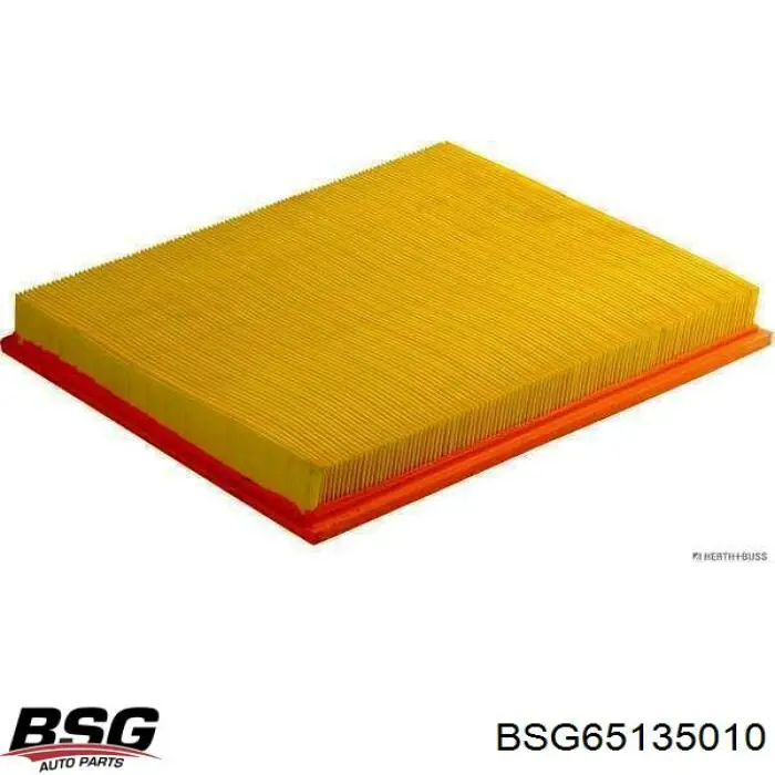 Filtro de aire BSG65135010 BSG