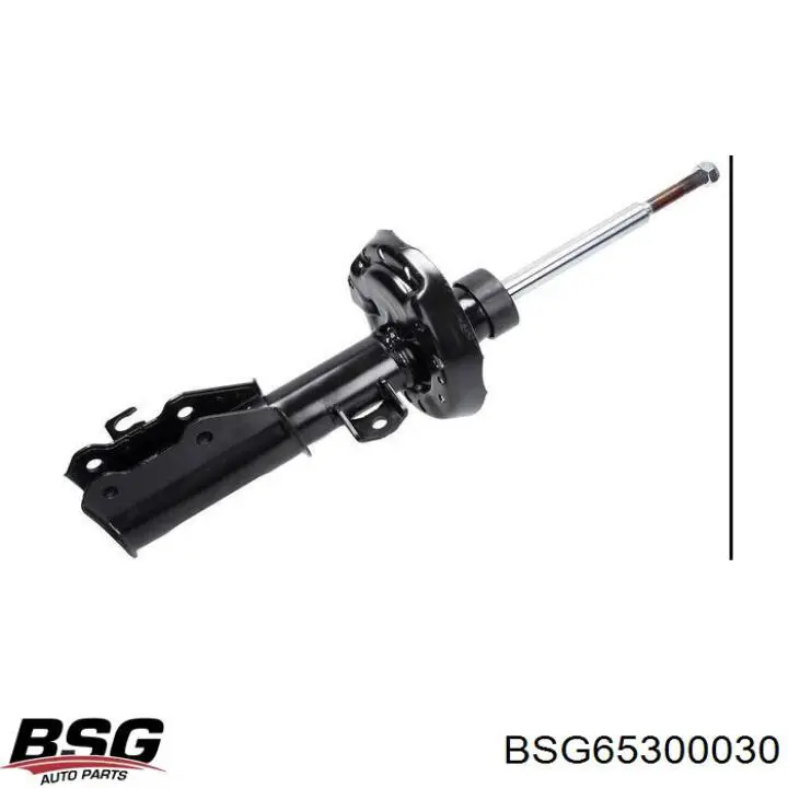 BSG65300030 BSG