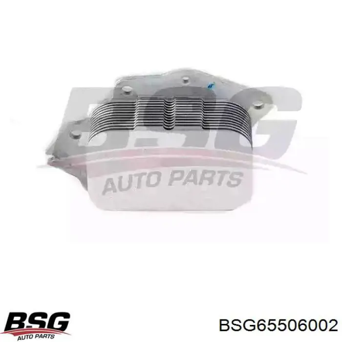BSG65506002 BSG