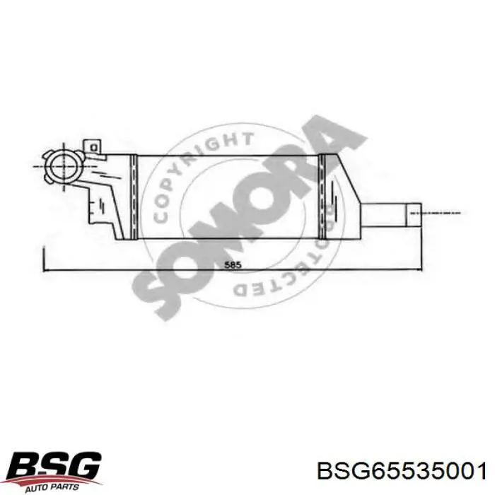 BSG65535001 BSG