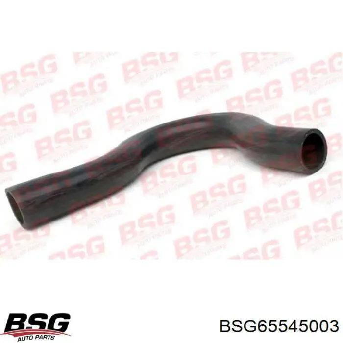 BSG65545003 BSG