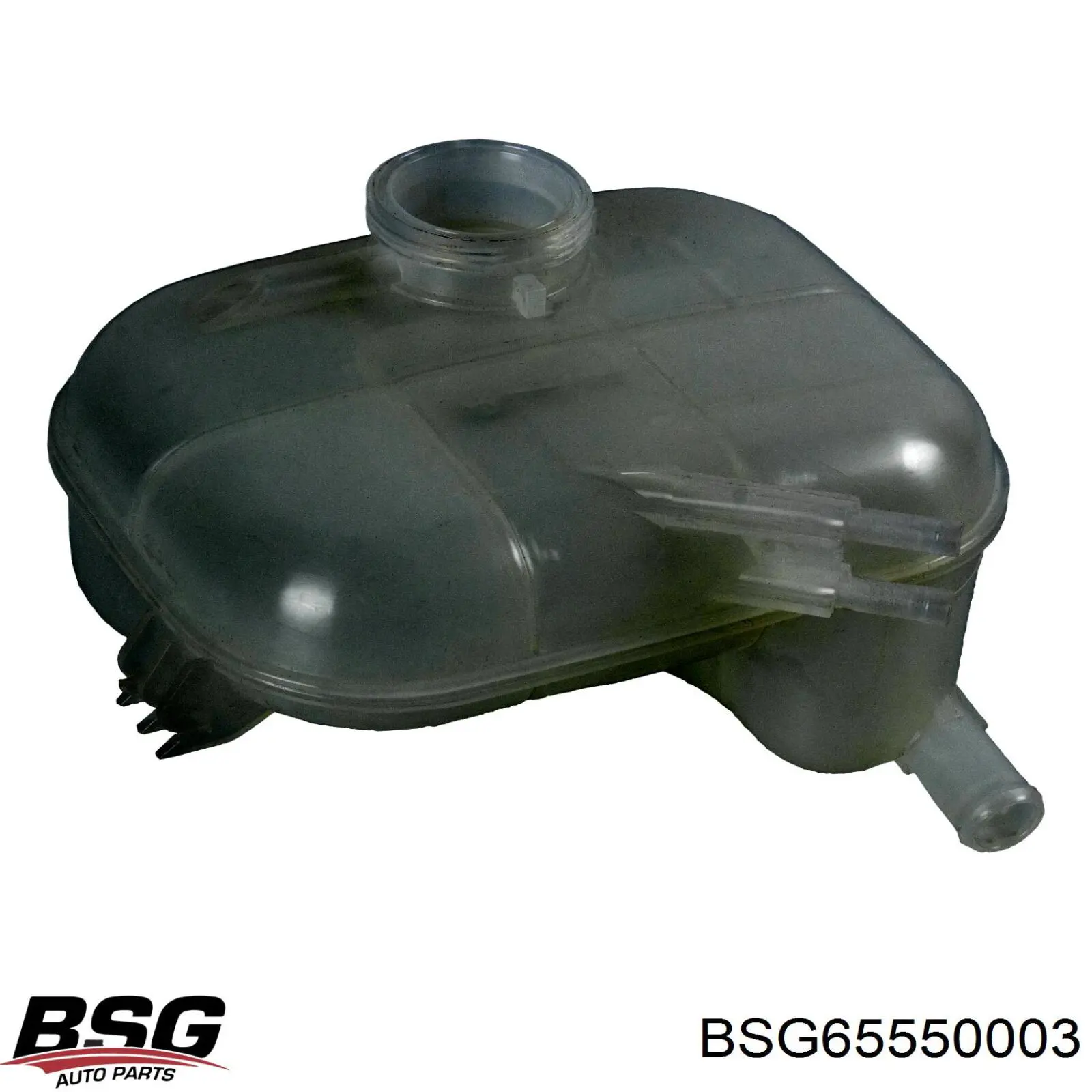 BSG 65-550-003 BSG tanque de expansão do sistema de esfriamento