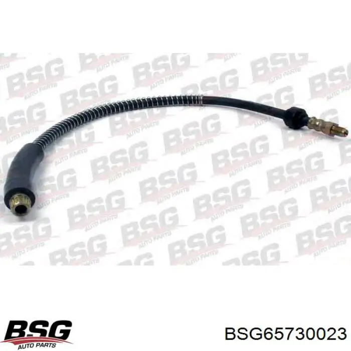 Tubo flexible de frenos trasero BSG65730023 BSG