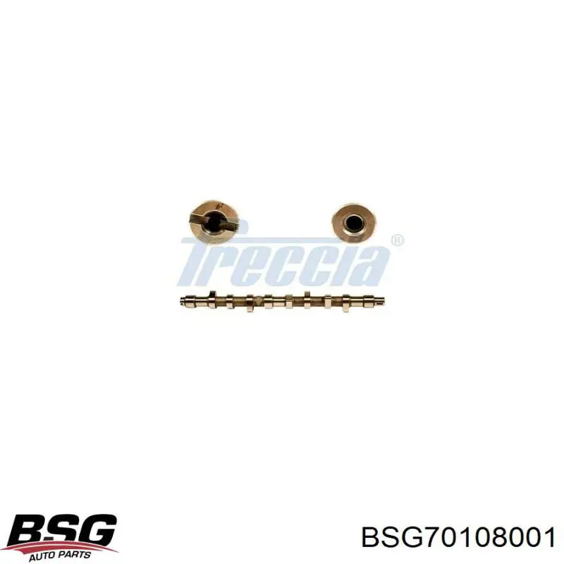 Распредвал двигателя BSG BSG70108001