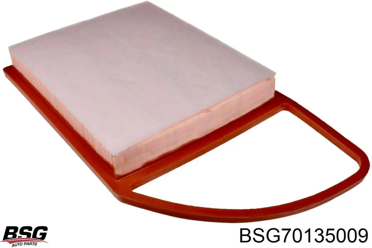 Купить BSG70135009 BSG Автомобильный фильтр воздуха